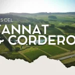 altodelaballena